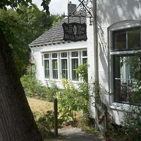 In De Witte Handt Midsland Extérieur photo